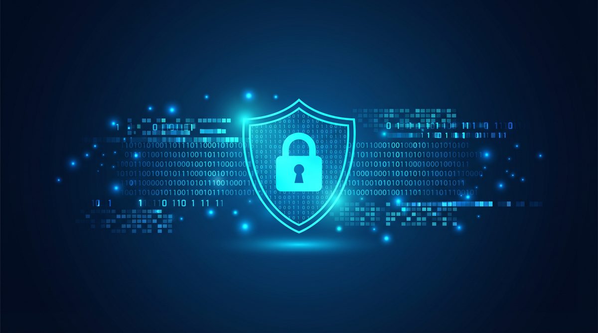 分谷加速器隐私安全保护